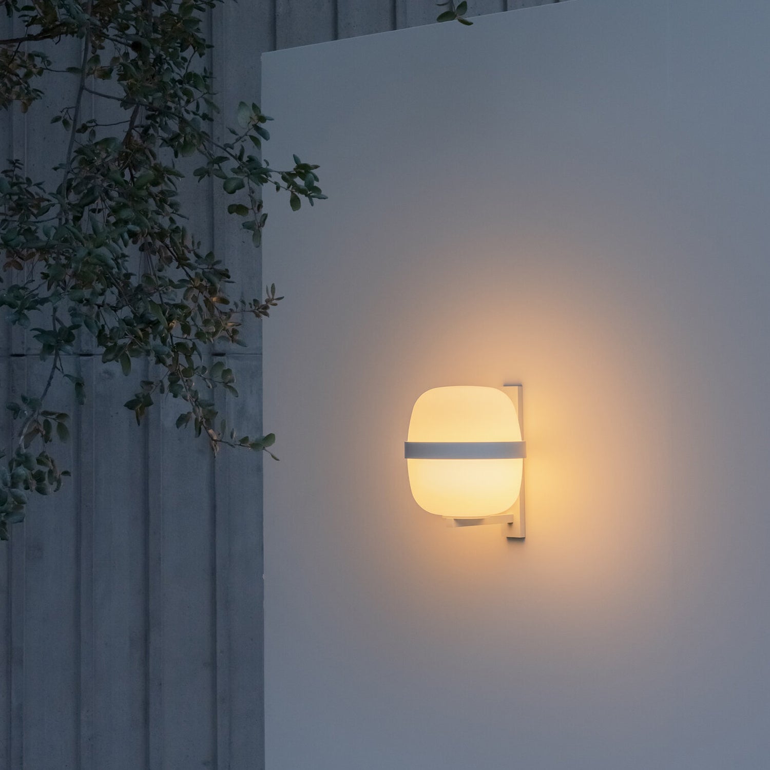 Santa & Cole Wally Cesta Wall Lamp