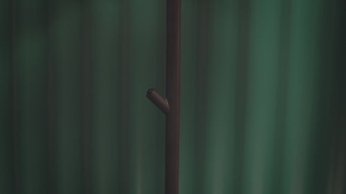 Faro Mambo Wall Lamp
