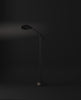 Stingray Floor Lamp.mp4