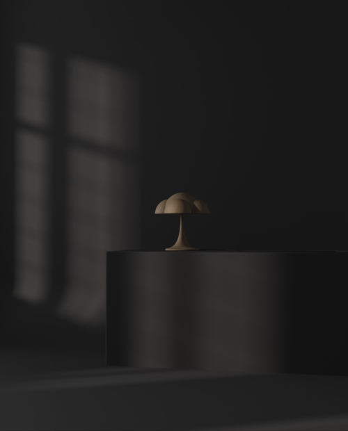 Fungus.mp4